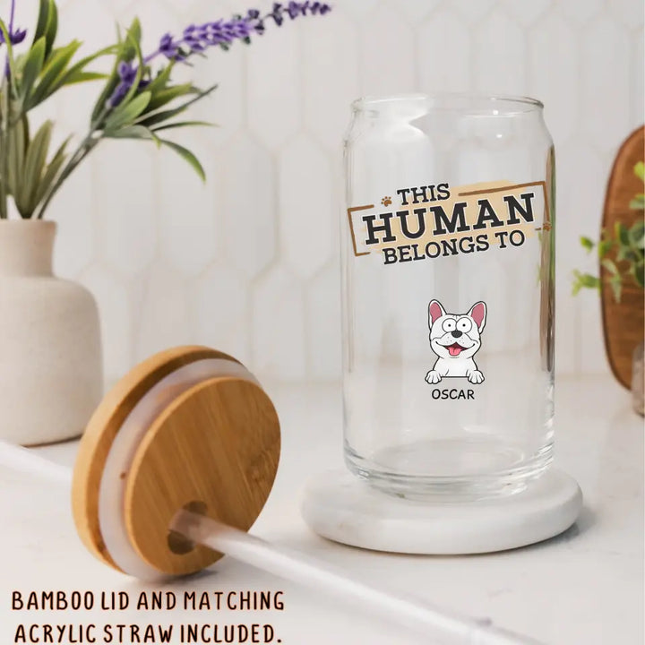 Glass Can-This Human Belongs To - Personalized Glass Can (16oz) | Pet Lover Gift | Custom Tumbler-16oz Glass Can-Glass-JackNRoy