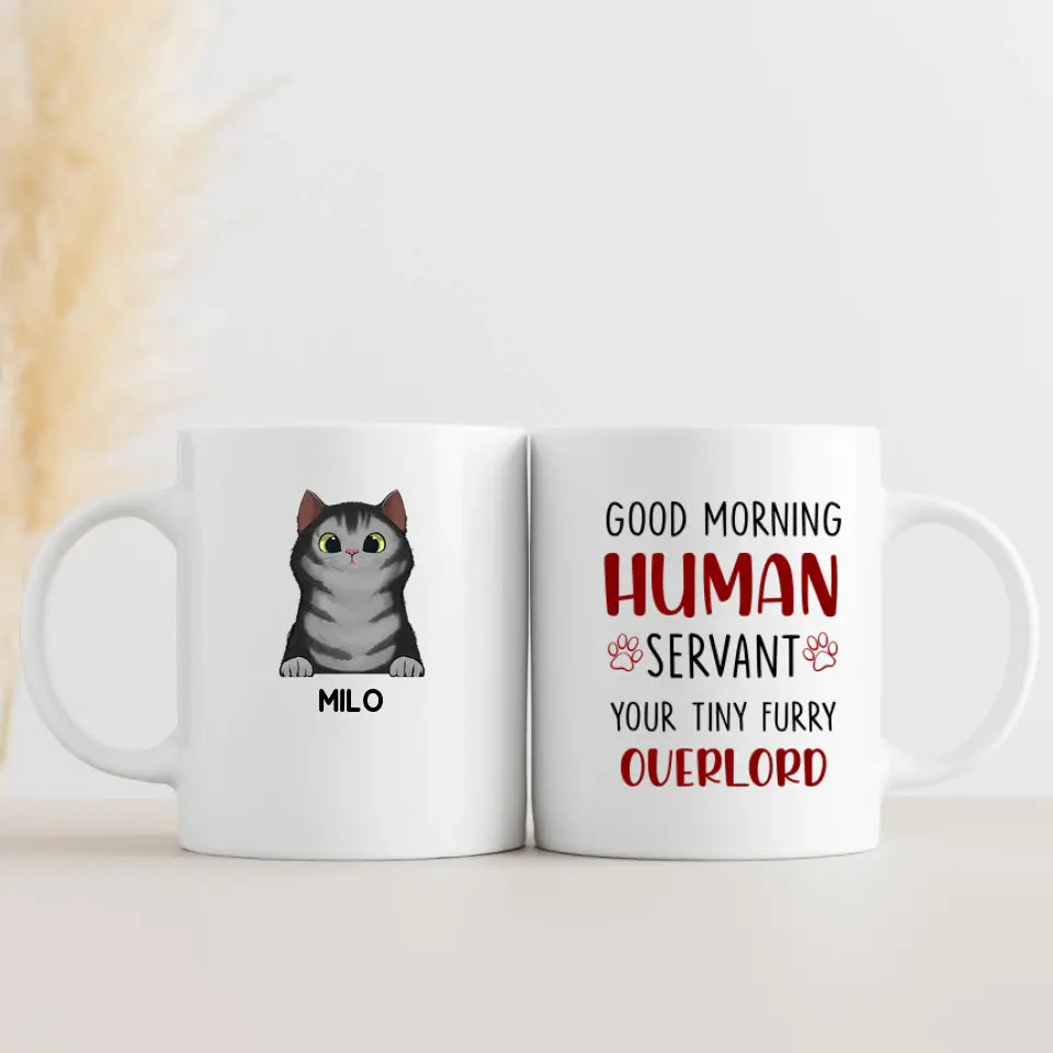 Mug-Good Morning Human Servant - Personalized Mug (11oz/15oz)-White Mug-White-Jack N Roy